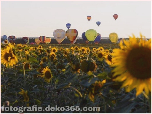 40 schöne Fotografie Luftballonfestival (26)