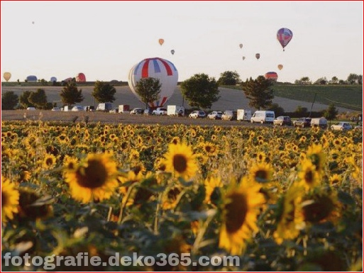 40 schöne Fotografie Luftballonfestival (29)