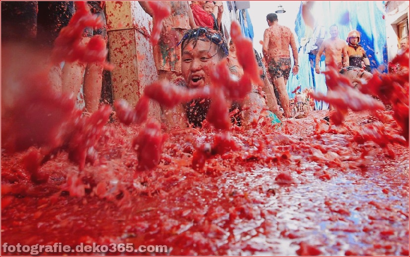 70. jährlicher Kampf mit Tomaten, in Fotografie (4)