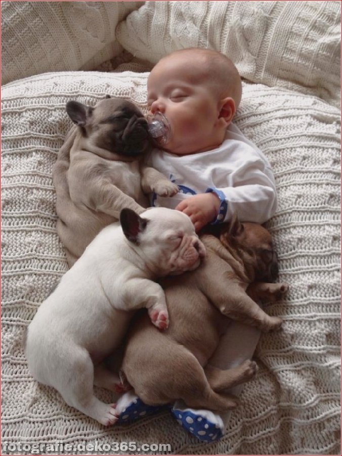 Baby mit Welpen der französischen Bulldogge (4)