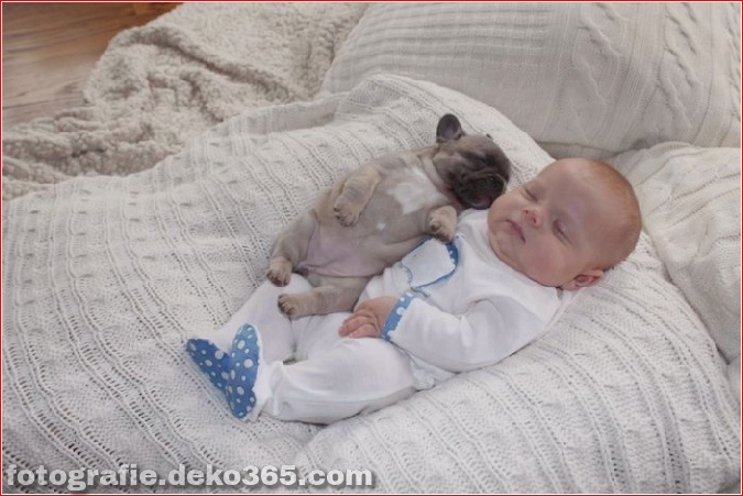 Baby mit Welpen der französischen Bulldogge (5)