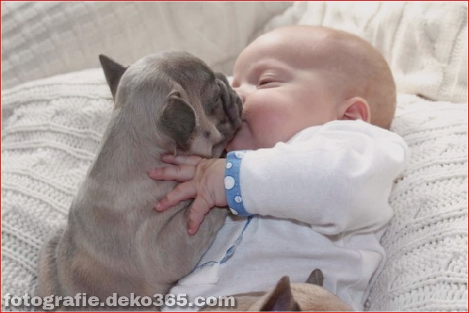 Baby mit Welpen der französischen Bulldogge (6)