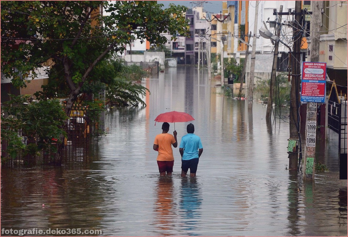 Naturzerstörung in Chennai (4)