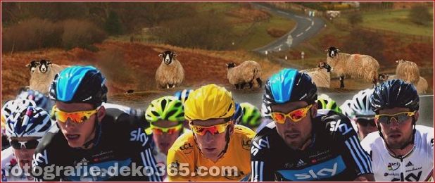 Tour de France lustige Bilder (3)