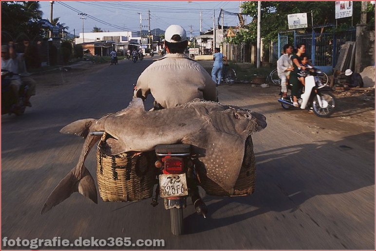 Vietnams "Bikes of Burden" von Hans Kemp (3)
