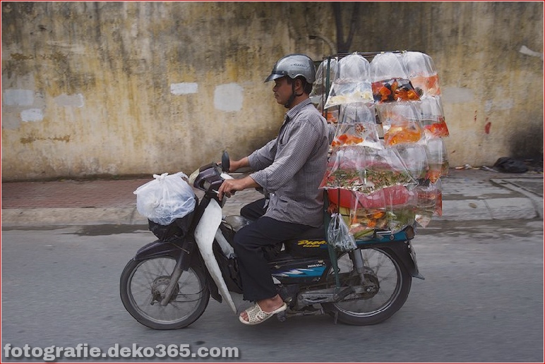 Vietnams "Bikes of Burden" von Hans Kemp (4)