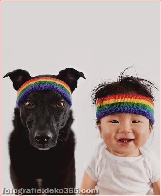 Rettungshund und Baby (7)