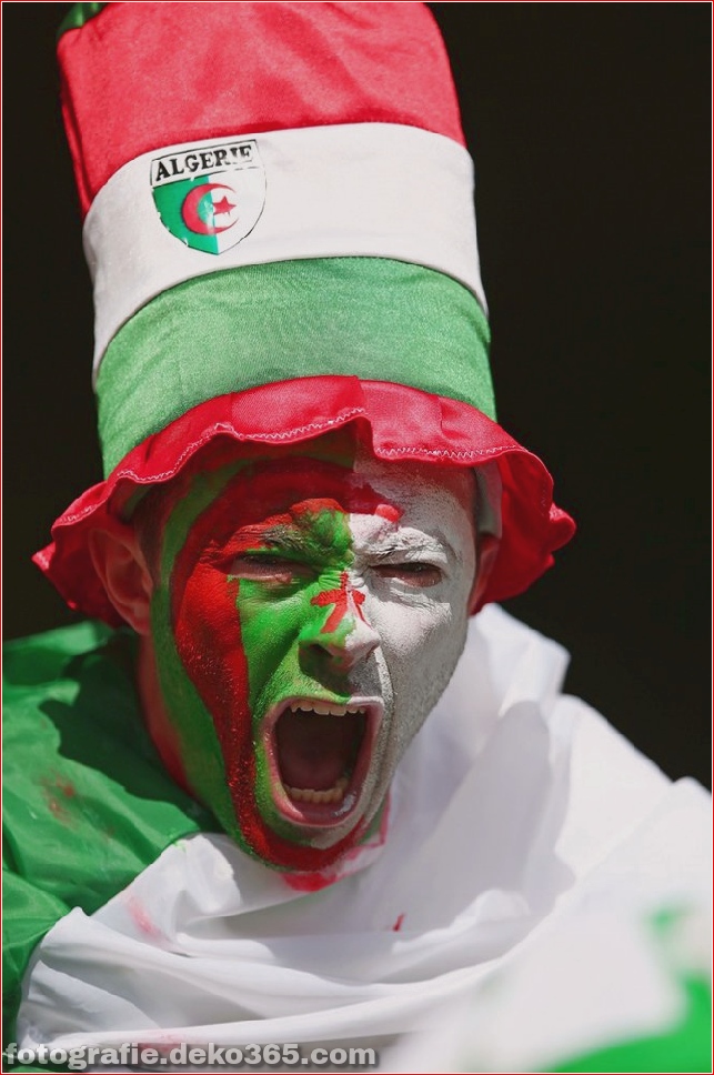 Fans von kreativen Kostümen bei der Weltmeisterschaft 2014 (7)