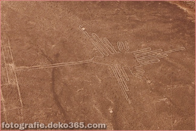 Nazca lines aliens - Sea Bird