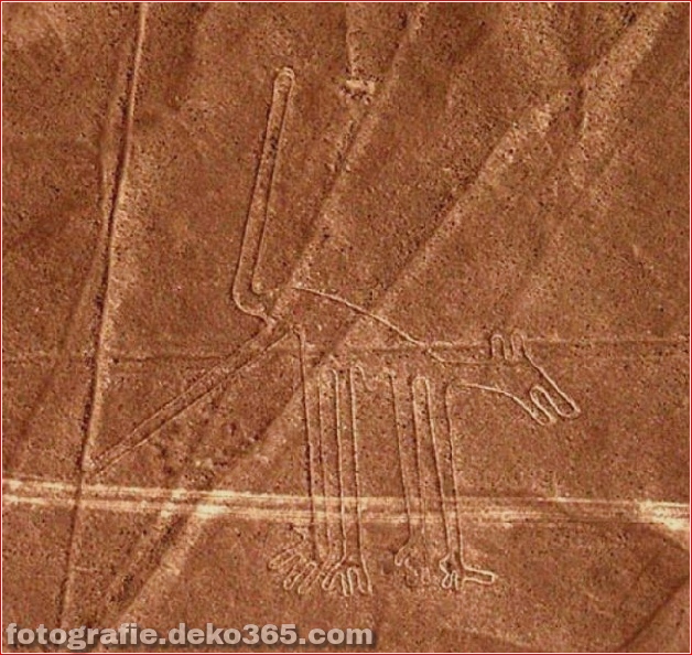 Nazca lines aliens - Dog