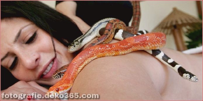 Massage mit Schlangenbehandlung (1)