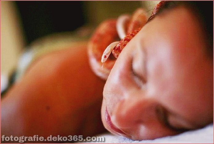 Massage mit Schlangenbehandlung (3)