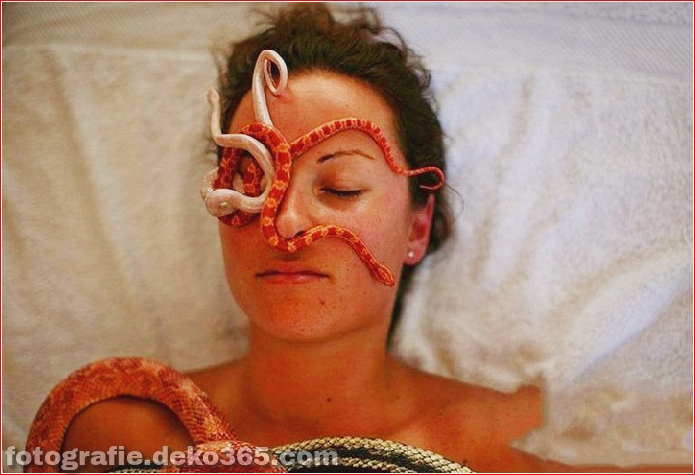 Massage mit Schlangenbehandlung (4)