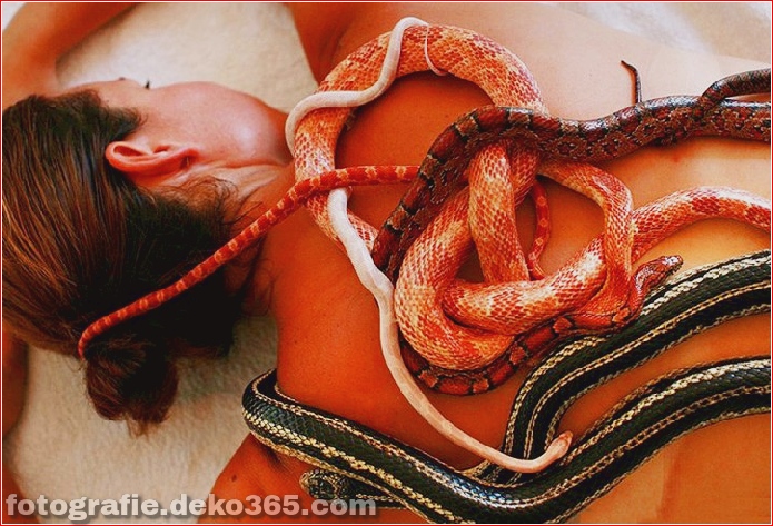 Massage mit Schlangenbehandlung (5)
