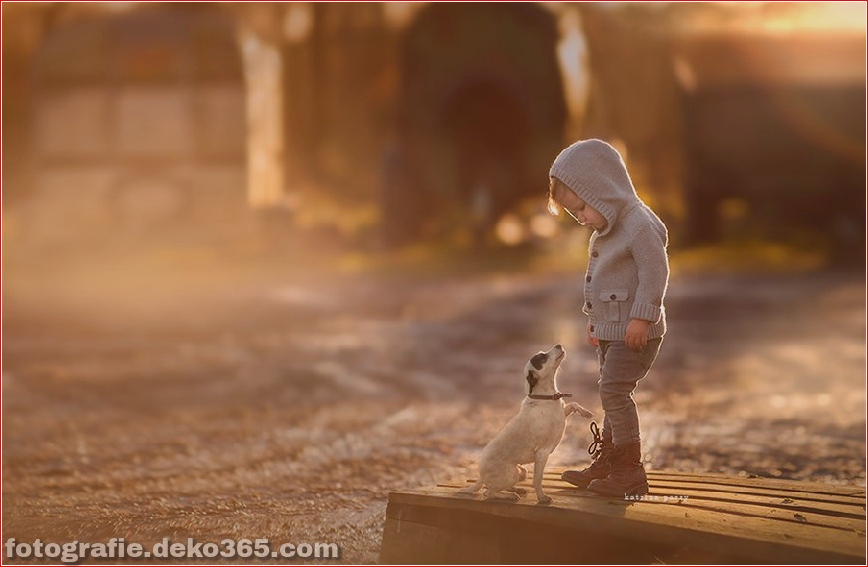 Schöne Kinder- und Tierfotografie_5c8fffa93b0ee.jpg