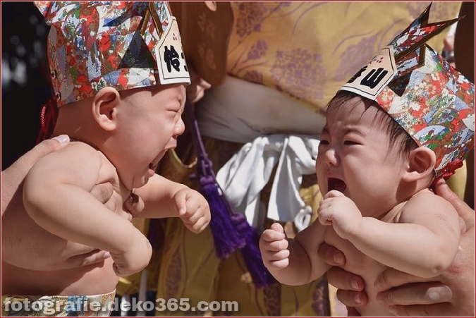 Sensoji-Tempelfestival für Babys, die in Tokio weinen_5c90081867c31.jpg