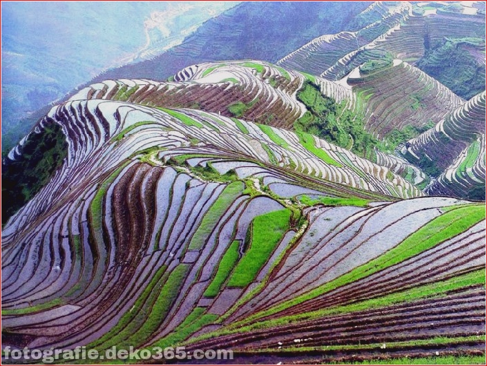 Die größten terrassierten Reisfelder der Welt, Yuen Yang, China (2)