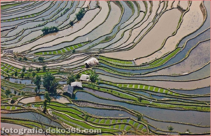 Die größten terrassierten Reisfelder der Welt, Yuen Yang, China (4)