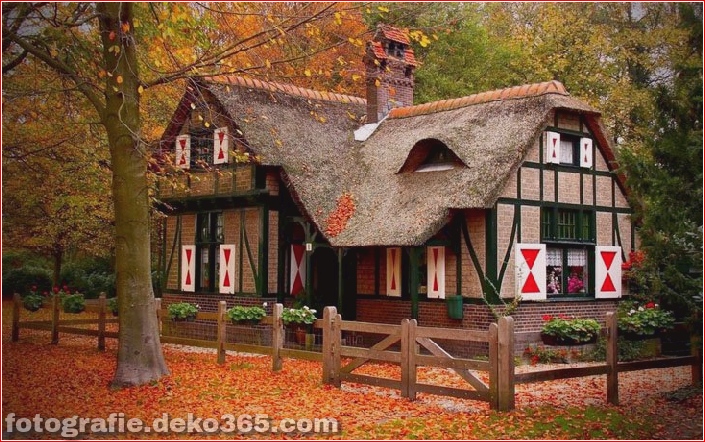 Sauberes Haus im Wald (13)