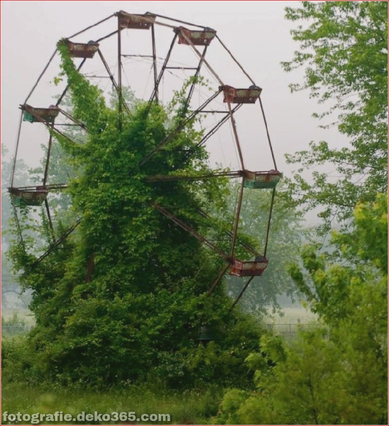 Beispiel der Natur gewann die menschliche Architektur (24)